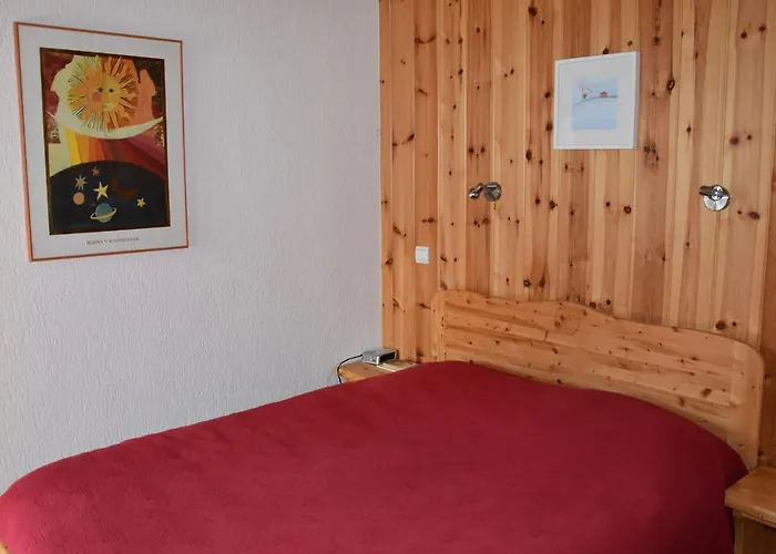 Proche Télécabine - Terrasse Et Animaux Acceptés - Fr-1-464-128 * La Plagne